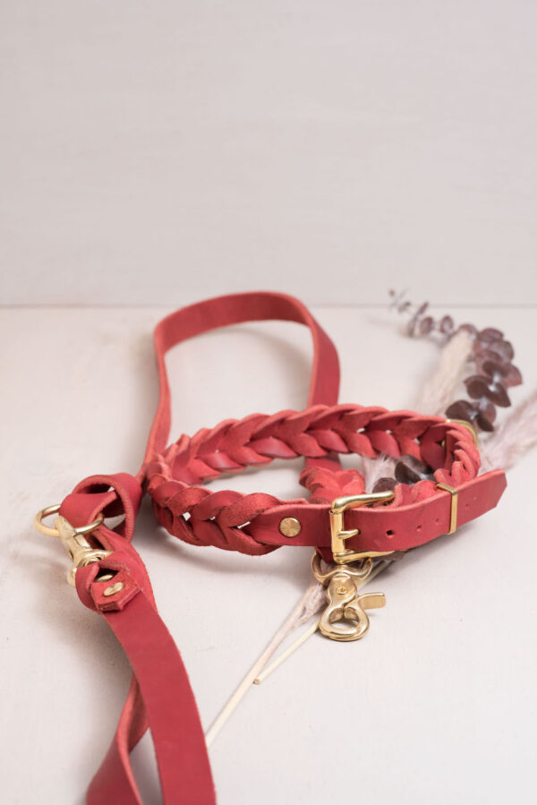 Dogstorys-Fettleder- Halsband- rot