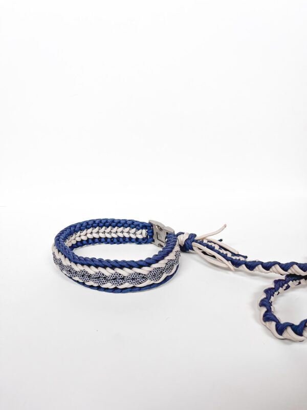 Dog Stories- Paracord Halsband Fava