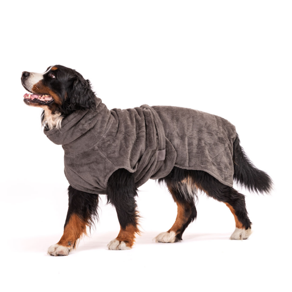 Dogstorys-Lilli Bademantel-Pflege