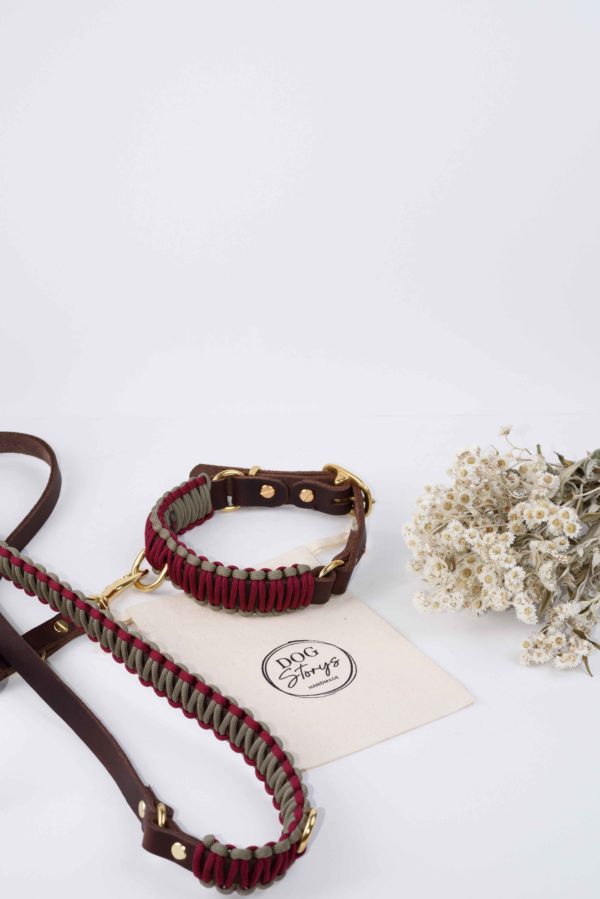 Dogstories - Fettleder-Paracord Leine- Sunny – Bild 2