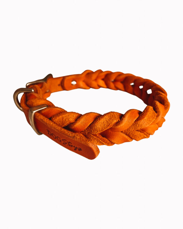 Dogstorys-Summercollection